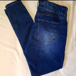 COPY - S.ON.G. Curvy High Rise Skinny Jeans Size 1
